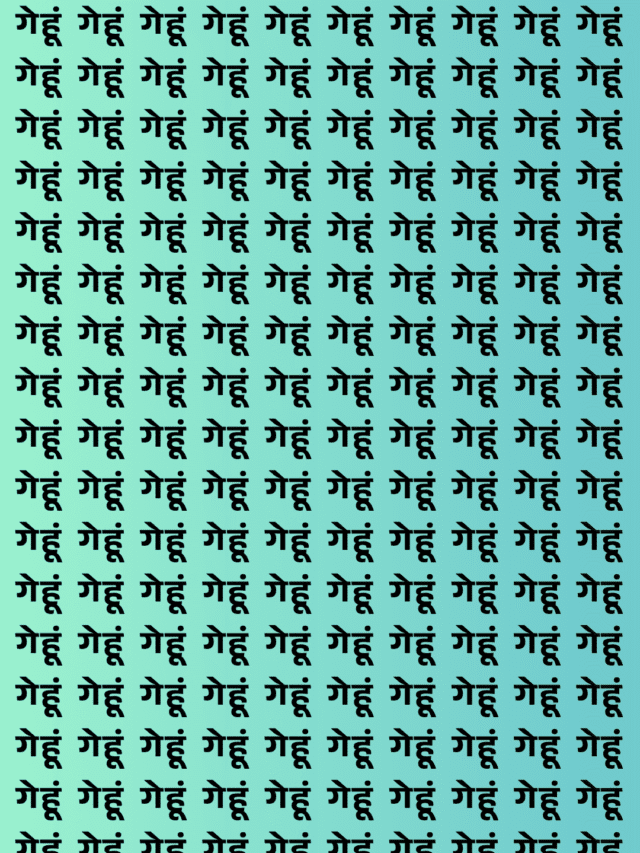 जिसकी बहु प्यारी है वही ढूंढेगा, गेहू के बीच मे बहु